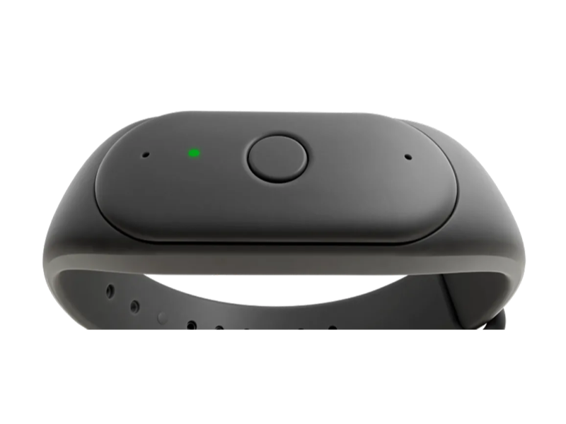 Bee Pioneer AI wristband