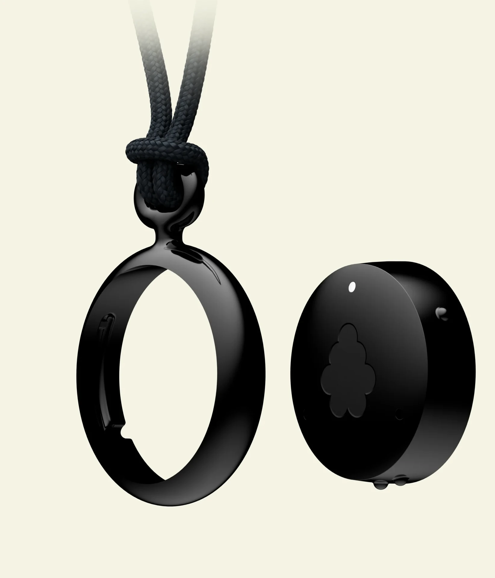 Fieldy 3 device with pendant accessory