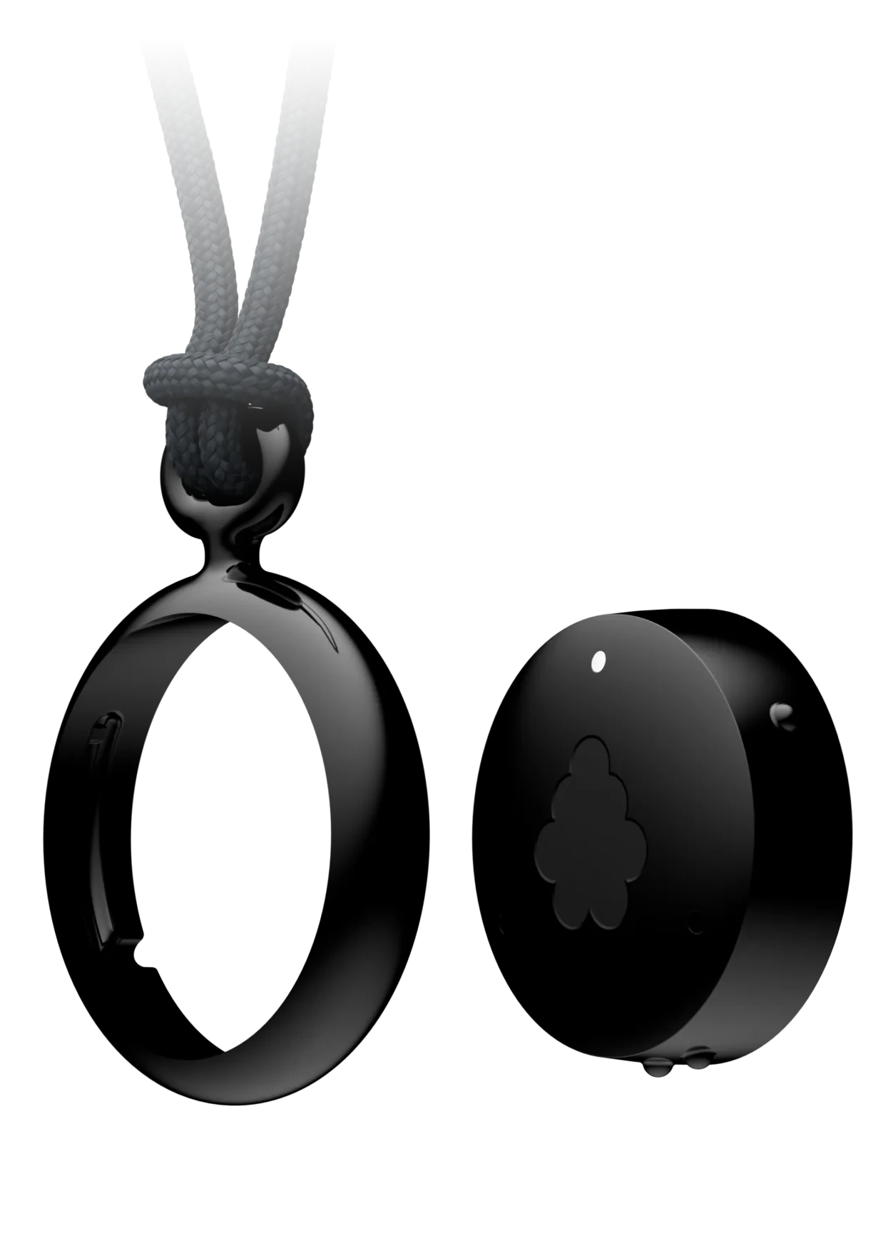 Fieldy device with pendant accessory