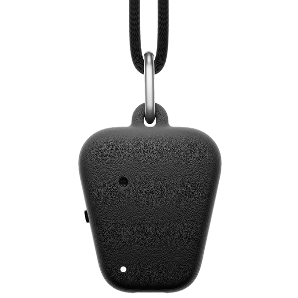 Fieldy device pendant